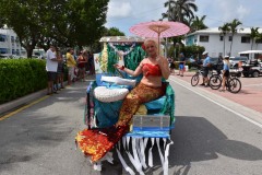 DSC_0590
