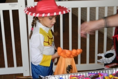 DSCN5820