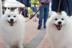 LBTS_BooBySea2024-140