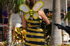 LBTS_BooBySea2024-60