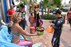 30580033312_4b73a83c25_z-2