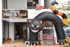 30580206382_97270e720f_z