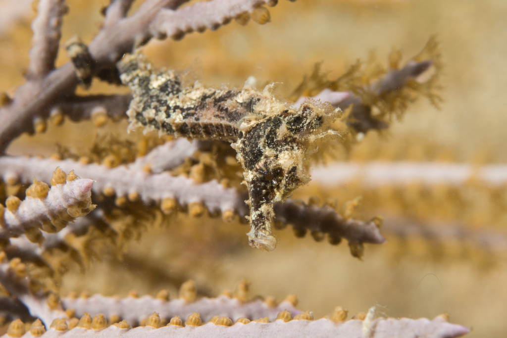 Bugfest-2013-123