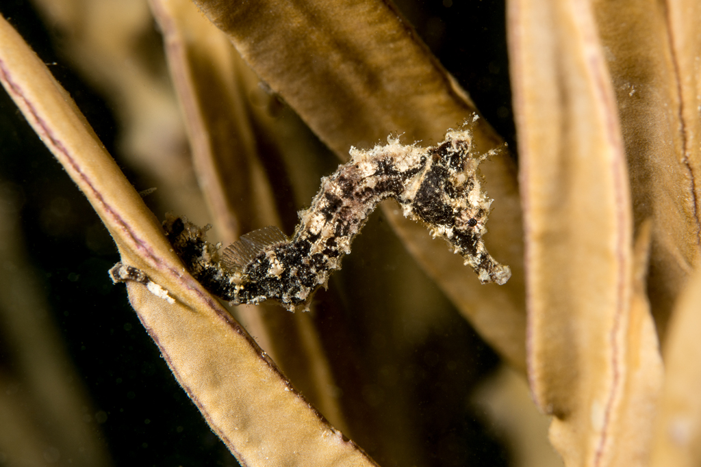 Bugfest-2013-124
