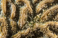 Bugfest-2013-125