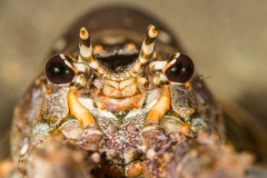 Bugfest-2013-148