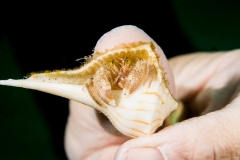 Bugfest-2013-191