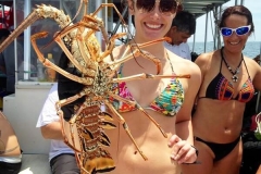 bugfest-gallery-001