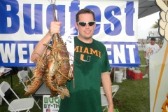 bugfest-gallery-003