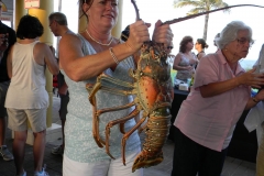 bugfest-gallery-025