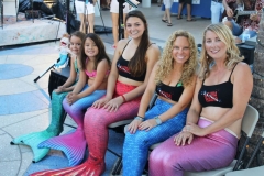 bugfest-gallery-068