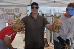 bugfest-gallery-072