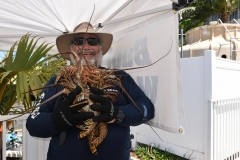 bugfest-gallery-073