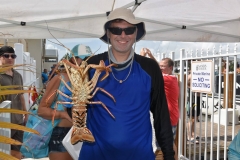 bugfest-gallery-075