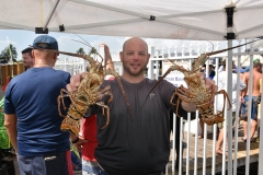 bugfest-gallery-077