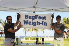 bugfest-gallery-078
