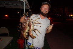 bugfest-gallery-082
