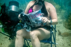 My Beach Dive Vacation