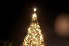 machine-christmas-by-the-sea-201211