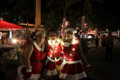 machine-christmas-by-the-sea-201217