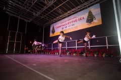 ChristmasByTheSea33