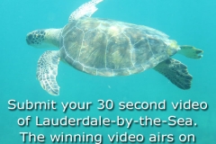 ScubaNation-Video-Contest