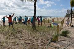 Photo of initial sea oats planting