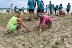 Volunteers are an integral part of our sea oats program