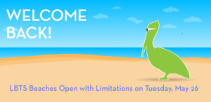 Welcome back to the beach