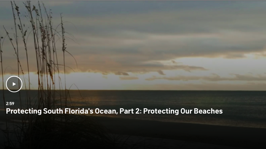 Lauderdale-By-The-Sea Featured on NBC 6 South Florida