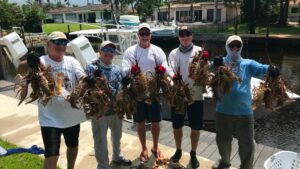 A group of five middle-aged men stand on a wooden dock in the backyard of their house holding spiny lobsters from their tails.
